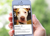 6 marcas que utilizaron Tinder como plataforma de Social Media Marketing
