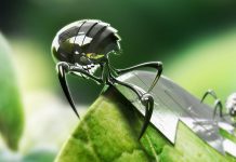 Nanotecnología y el futuro de la agroindustria
